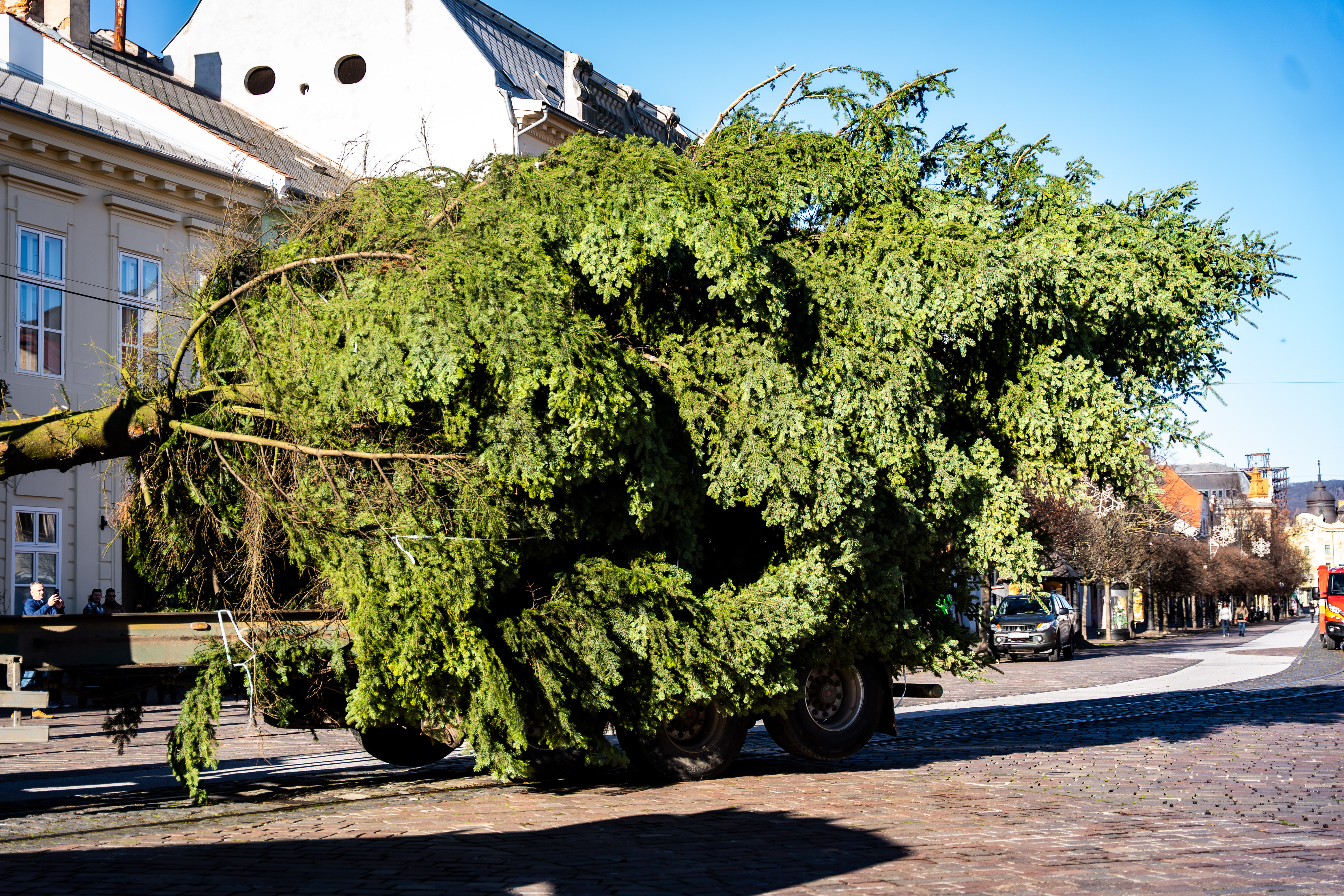 Umiestnovanie Vianocneho stromu-5